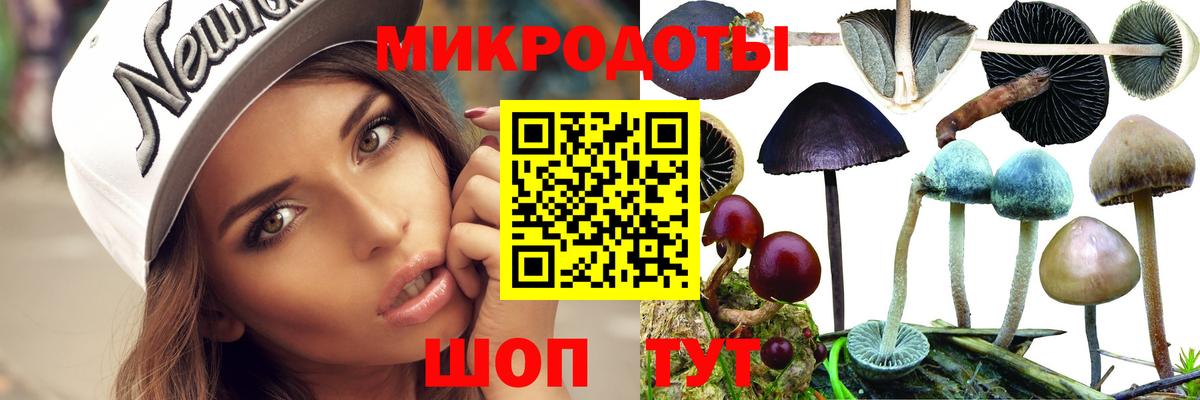 Канаш  Псилоцибиновые грибы Magic Shrooms  Вход с VPN 