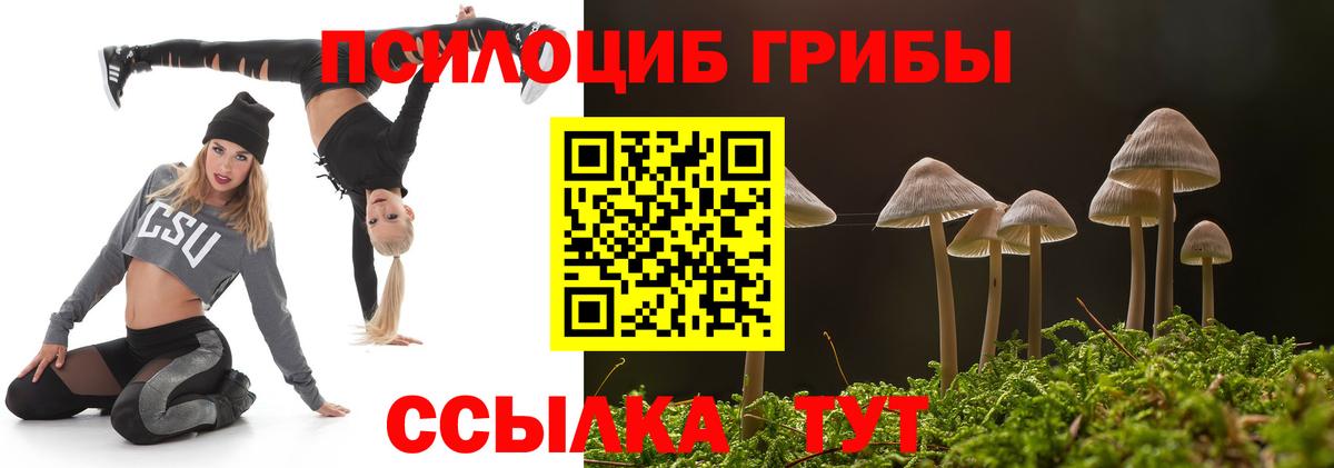 Галлюциногенные грибы мухоморы Канаш