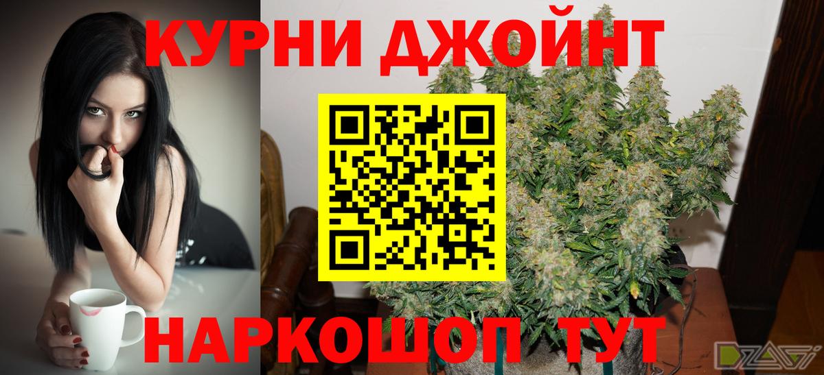 Канаш  Каннабис Ganja  Бошки Шишки конопля  Вход с VPN 